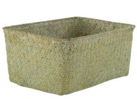 Kito - Cesto Verde