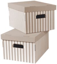 Shirt - Set di 2 scatole talpa