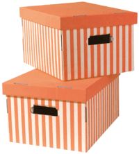 Shirt - Set Di 2 Scatole Arancio