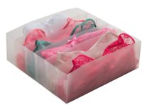 Portareggiseni Organizer 6 Scomparti - 30,5 X 30,5 X H.10 Cm - Pp Translucido