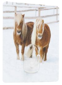 Magic Hook - Ponies