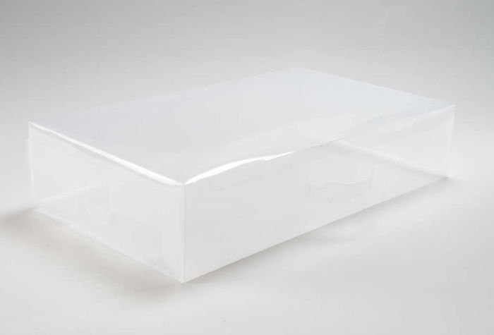 Organizer Scatola Trasparente Porta Stivali  2 Compactor