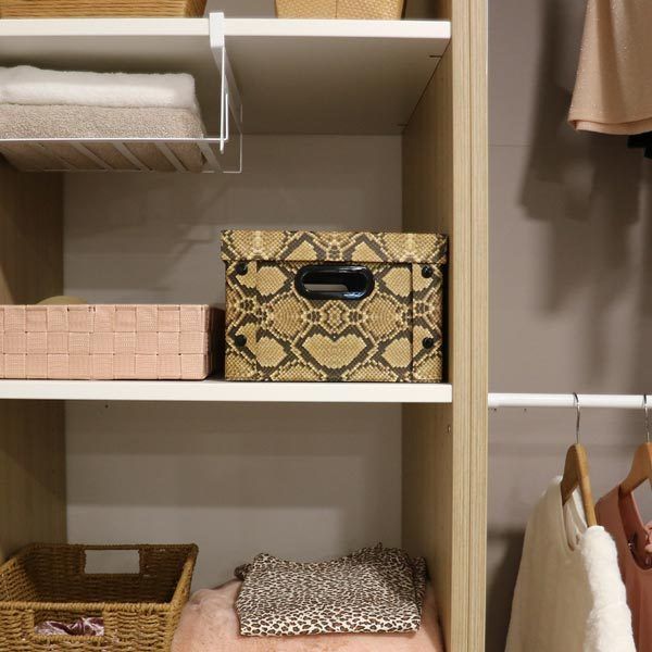 Scatola pitone 6 Compactor