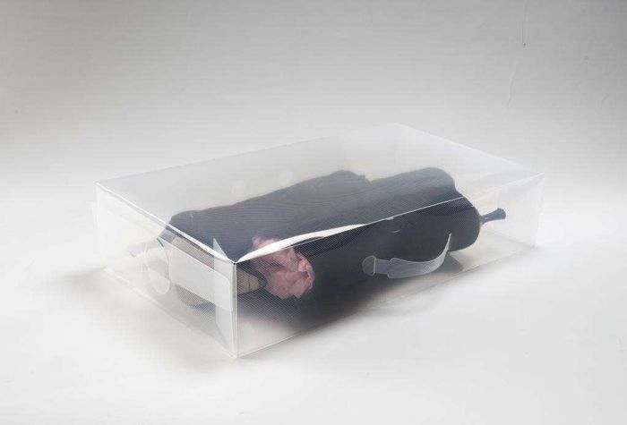 Organizer Scatola Trasparente Porta Stivali  3 Compactor