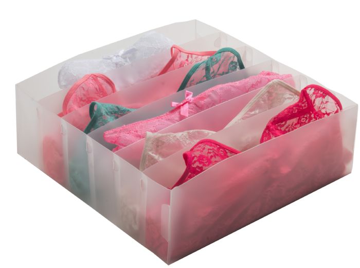 Portareggiseni Organizer 6 Scomparti - 30,5 X 30,5 X H.10 Cm - Pp Translucido 1 Compactor