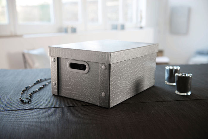 Croco - Scatola argentata 2 Compactor