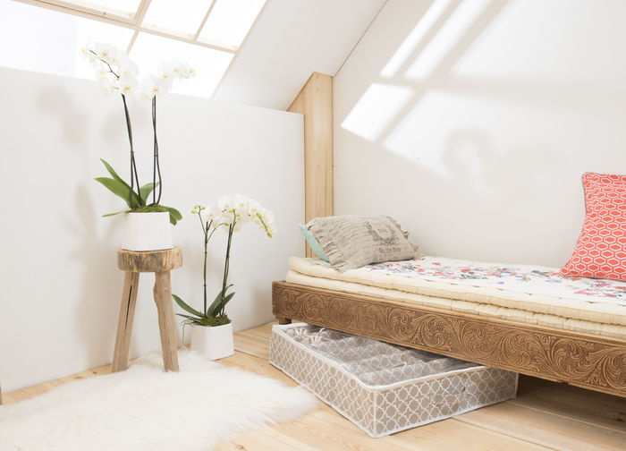 Madison - Custodia Porta Scarpe 2 Compactor