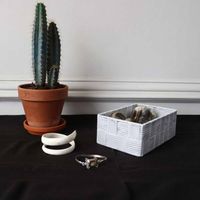 TORONTO organizer - Medium