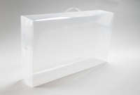 Organizer Scatola Trasparente Porta Stivali