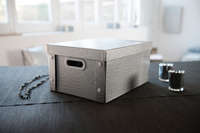 Croco - Scatola argentata