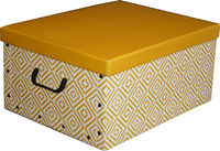 Baule in Cartone Giallo - Compactor