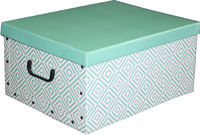 Baule in Cartone Verde - Compactor