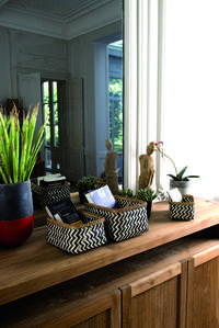 Zebra - Set 3 Cestini